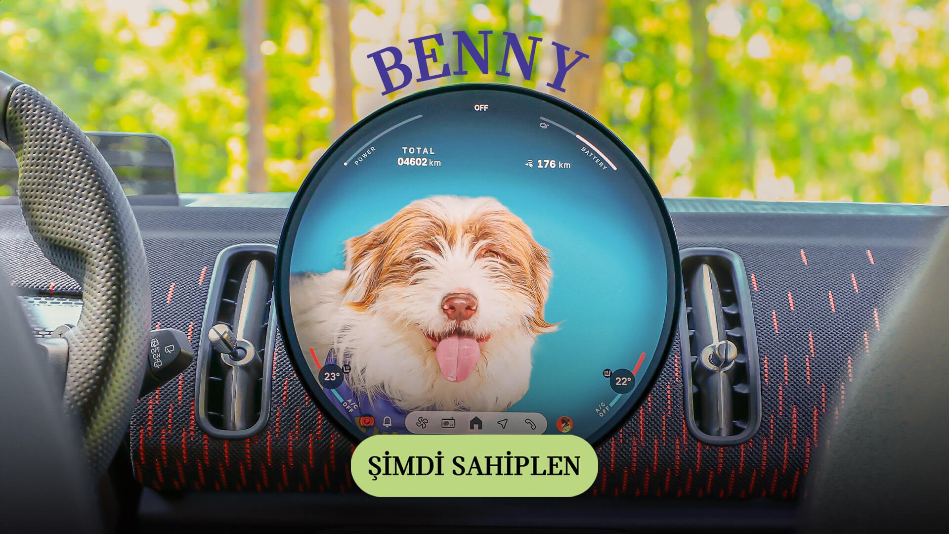 MINI Pati | MINI Türkiye